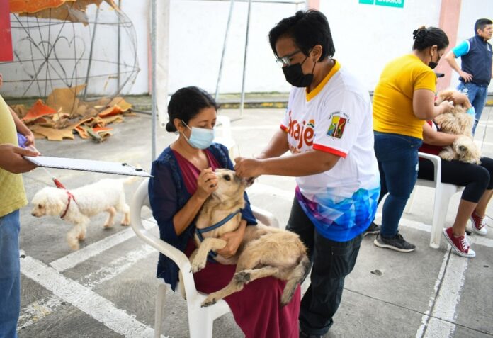 El Alcalde César Encalada, a través de la Unidad de Bienestar Animal de la Dirección de Gestión de Riesgos, efectuó la brigada médica veterinaria en la zona de parqueo de San Antonio Plaza.