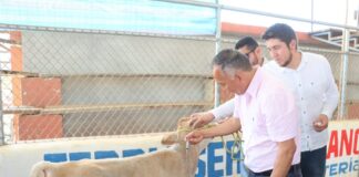 El prefecto Clemente Bravo dijo que estos proyectos son de reactivación económica y cuentan con innovación tecnológica para mejorar la producción de carne y de leche.