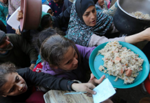 El hambre aguda alcanza a más de 280 millones de personas en 59 países y territorios en 2023, hilando cinco años de deterioro de la inseguridad alimentaria, alerta el más reciente informe de la ONU sobre el tema, que advierte del riesgo de hambruna en Gaza y Sudán. En América Latina, el flagelo toca a cerca de 20 millones de personas en nueve naciones.